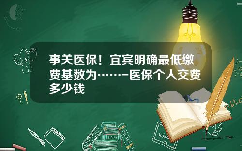事关医保！宜宾明确最低缴费基数为……-医保个人交费多少钱