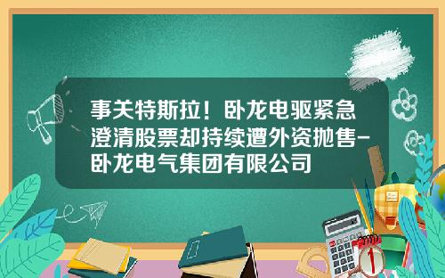 事关特斯拉！卧龙电驱紧急澄清股票却持续遭外资抛售-卧龙电气集团有限公司