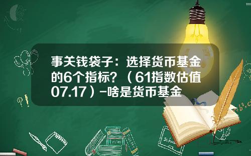 事关钱袋子：选择货币基金的6个指标？（61指数估值07.17）-啥是货币基金
