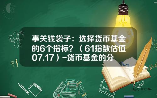 事关钱袋子：选择货币基金的6个指标？（61指数估值07.17）-货币基金的分类