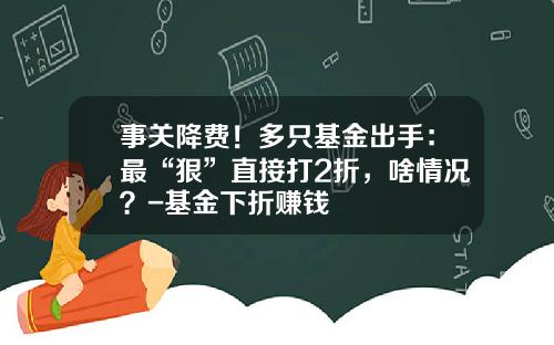 事关降费！多只基金出手：最“狠”直接打2折，啥情况？-基金下折赚钱