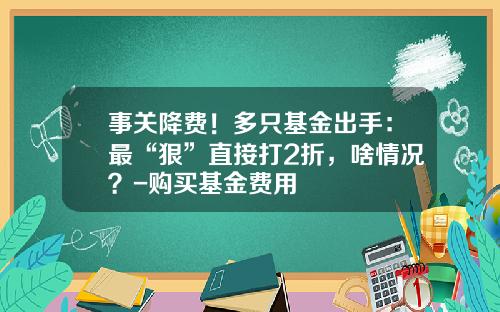 事关降费！多只基金出手：最“狠”直接打2折，啥情况？-购买基金费用