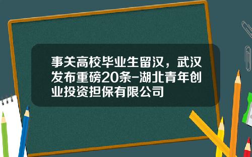 事关高校毕业生留汉，武汉发布重磅20条-湖北青年创业投资担保有限公司