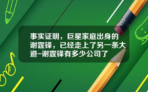 事实证明，巨星家庭出身的谢霆锋，已经走上了另一条大道-谢霆锋有多少公司了