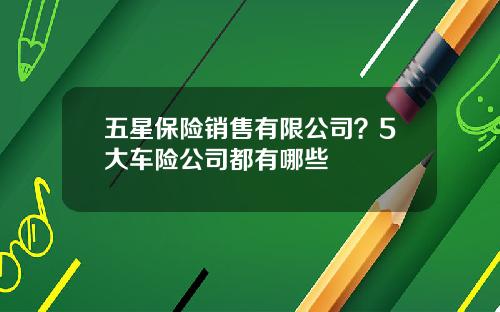 五星保险销售有限公司？5大车险公司都有哪些
