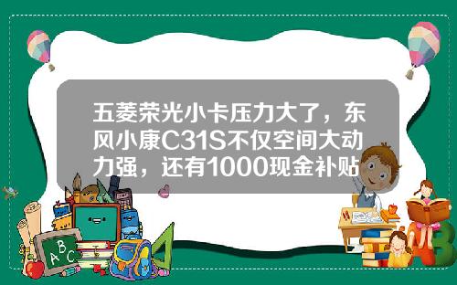 五菱荣光小卡压力大了，东风小康C31S不仅空间大动力强，还有1000现金补贴呢！
