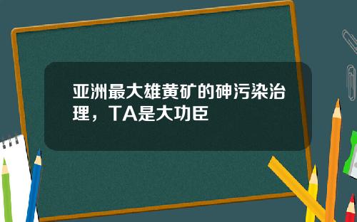 亚洲最大雄黄矿的砷污染治理，TA是大功臣