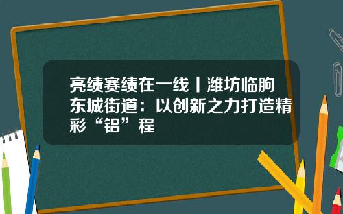 亮绩赛绩在一线丨潍坊临朐东城街道：以创新之力打造精彩“铝”程