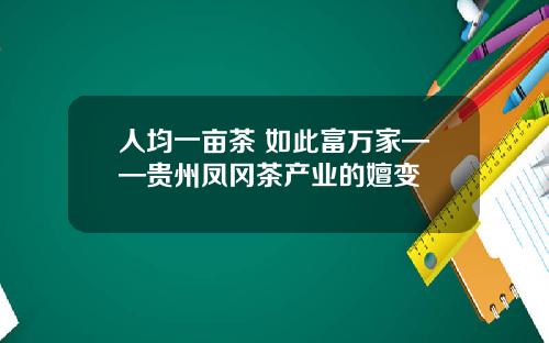 人均一亩茶 如此富万家——贵州凤冈茶产业的嬗变