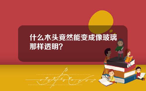 什么木头竟然能变成像玻璃那样透明？