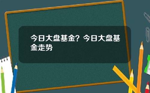 今日大盘基金？今日大盘基金走势
