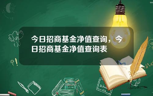 今日招商基金净值查询，今日招商基金净值查询表