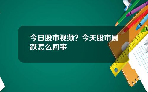 今日股市视频？今天股市暴跌怎么回事