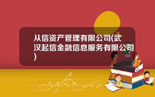 从信资产管理有限公司(武汉起信金融信息服务有限公司)