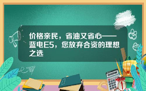 价格亲民，省油又省心——蓝电E5，您放弃合资的理想之选