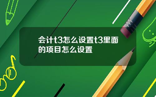 会计t3怎么设置t3里面的项目怎么设置