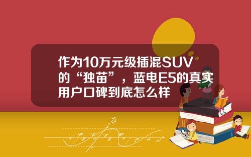 作为10万元级插混SUV的“独苗”，蓝电E5的真实用户口碑到底怎么样
