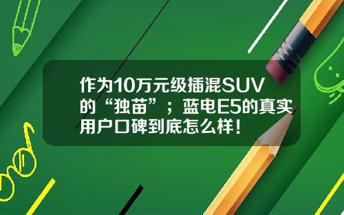 作为10万元级插混SUV的“独苗”；蓝电E5的真实用户口碑到底怎么样！