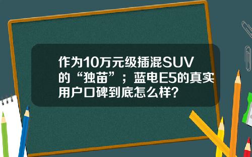 作为10万元级插混SUV的“独苗”；蓝电E5的真实用户口碑到底怎么样？