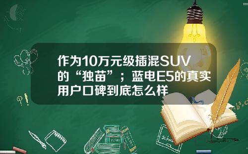 作为10万元级插混SUV的“独苗”；蓝电E5的真实用户口碑到底怎么样