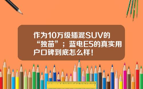 作为10万级插混SUV的“独苗”；蓝电E5的真实用户口碑到底怎么样！