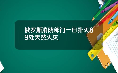 俄罗斯消防部门一日扑灭89处天然火灾