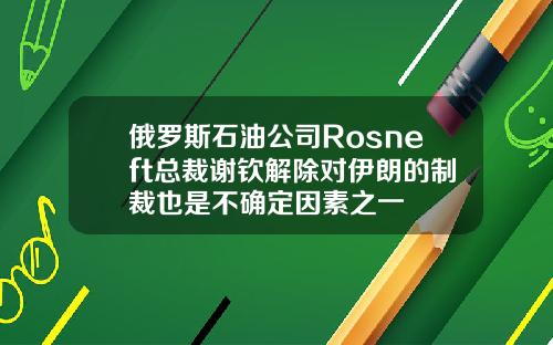 俄罗斯石油公司Rosneft总裁谢钦解除对伊朗的制裁也是不确定因素之一