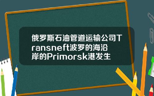 俄罗斯石油管道运输公司Transneft波罗的海沿岸的Primorsk港发生风暴