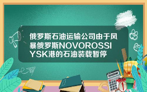 俄罗斯石油运输公司由于风暴俄罗斯NOVOROSSIYSK港的石油装载暂停