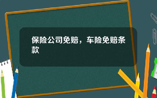 保险公司免赔，车险免赔条款