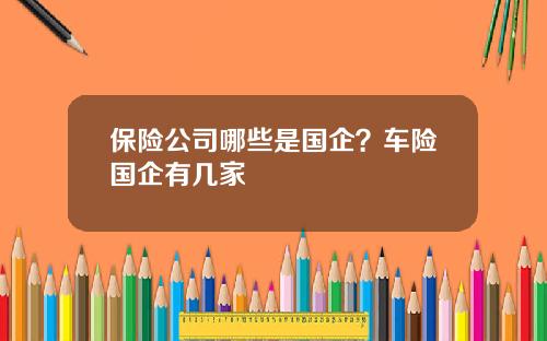 保险公司哪些是国企？车险国企有几家