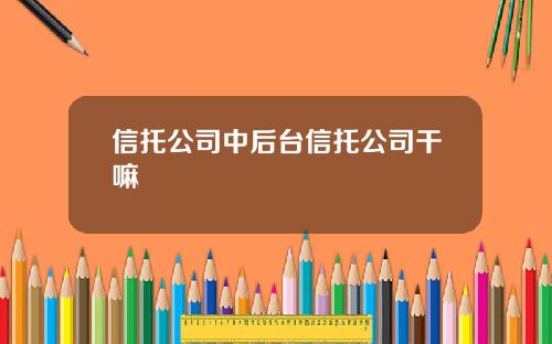 信托公司中后台信托公司干嘛
