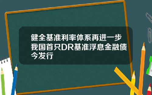 健全基准利率体系再进一步我国首只DR基准浮息金融债今发行
