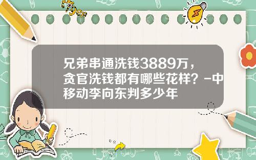 兄弟串通洗钱3889万，贪官洗钱都有哪些花样？-中移动李向东判多少年