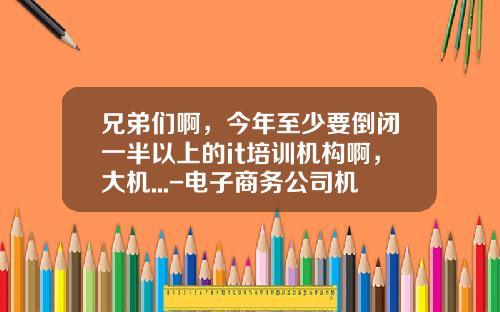 兄弟们啊，今年至少要倒闭一半以上的it培训机构啊，大机...-电子商务公司机构设置