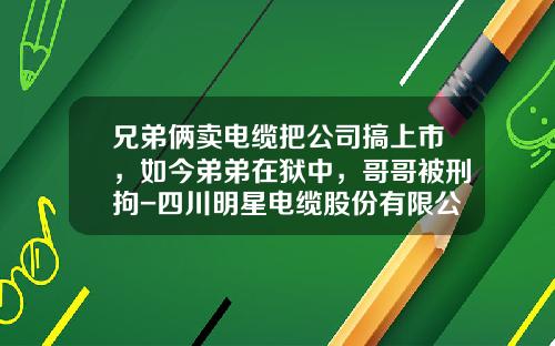 兄弟俩卖电缆把公司搞上市,如今弟弟在狱中,哥哥被刑拘-四川明星电缆股份有限公司 兄弟俩卖电缆把公司搞上市,如今弟弟在狱中,哥哥被刑拘-四川明星电缆股份有限公司