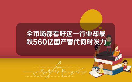 全市场都看好这一行业却暴跌560亿国产替代何时发力