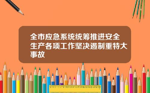 全市应急系统统筹推进安全生产各项工作坚决遏制重特大事故