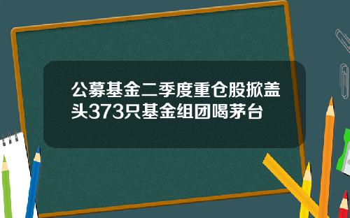公募基金二季度重仓股掀盖头373只基金组团喝茅台