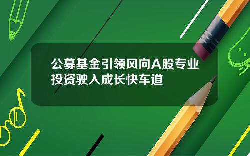 公募基金引领风向A股专业投资驶入成长快车道