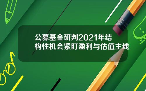 公募基金研判2021年结构性机会紧盯盈利与估值主线