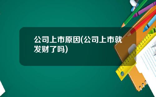 公司上市原因(公司上市就发财了吗)