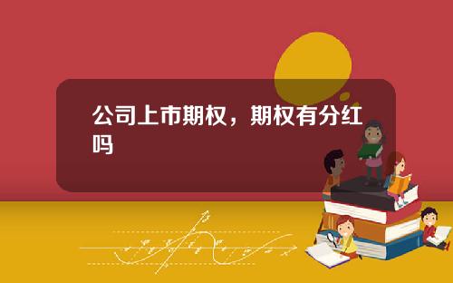 公司上市期权，期权有分红吗