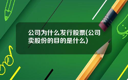 公司为什么发行股票(公司卖股份的目的是什么)