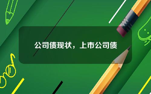 公司债现状，上市公司债
