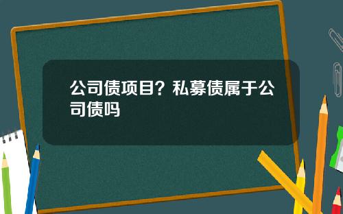 公司债项目？私募债属于公司债吗