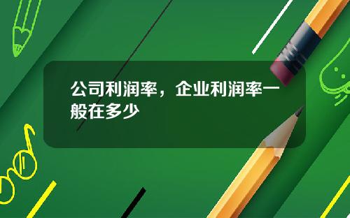 公司利润率，企业利润率一般在多少