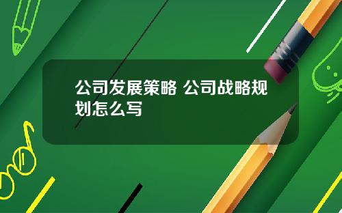 公司发展策略 公司战略规划怎么写