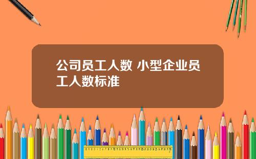 公司员工人数 小型企业员工人数标准