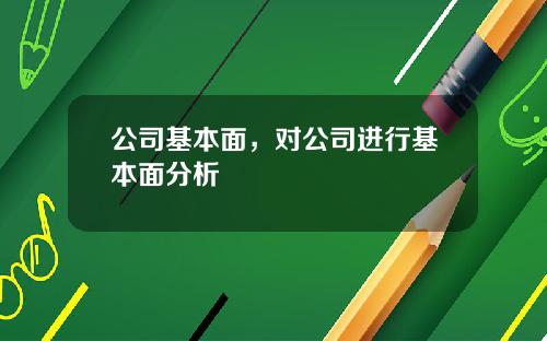 公司基本面，对公司进行基本面分析